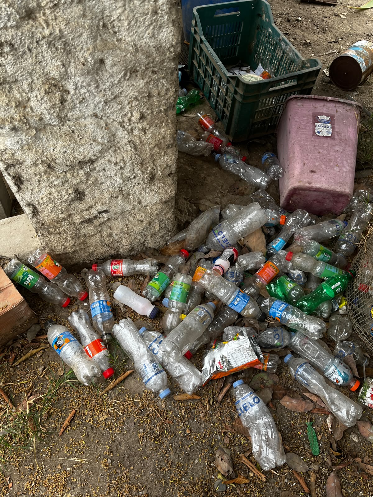 Botellas plásticas dispersas sin segregar junto a un contenedor